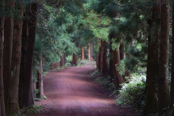 Half Day Terceira Island Tour by 4x4 - Pickup from Angra and cruise ports