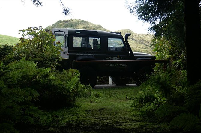 Half Day Terceira Island Tour by 4x4 - Viewpoints, forest roads, and island plants