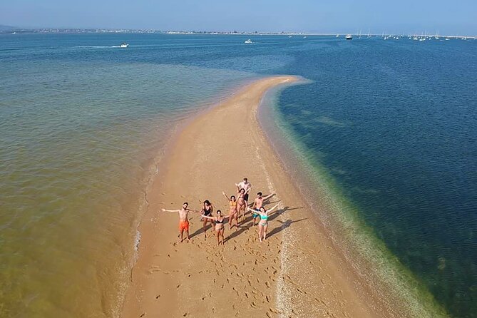 Ilha Deserta and Farol Island: a small group boat trip in Ria Formosa from Faro - Birdlife, conservation, and the value of a good guide