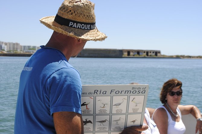 Ilha Deserta and Farol Island: a small group boat trip in Ria Formosa from Faro - Who will enjoy this trip most