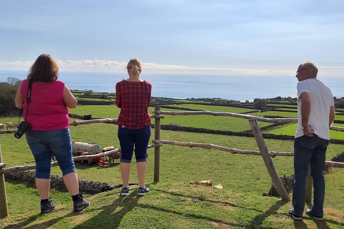 Island Van Tour (Full Day) | Terceira Island - Biscoitos and Terceira’s volcanic pools