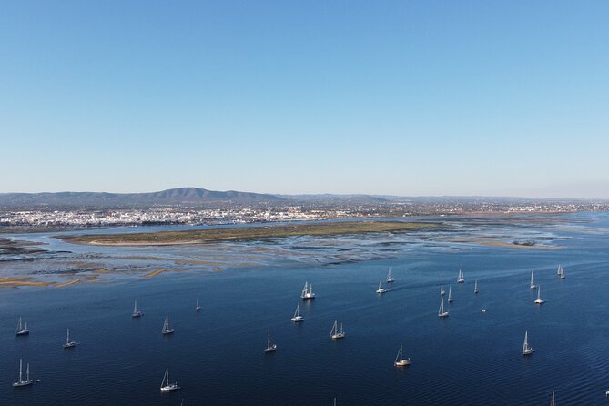 Islands Tour: Half Day Cruise in Ria Formosa Natural Park - Price, group size, and overall value