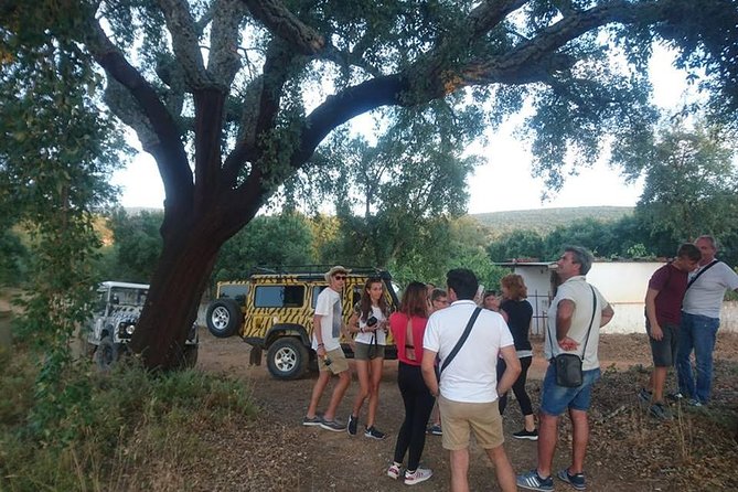 Jeep Safari Tour - Full Day - Lunch is worthwhile, but check the extra cost