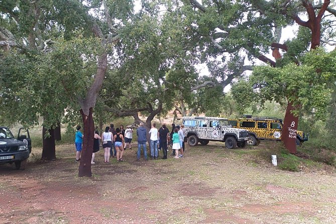 Jeep Safari Tour - Half Day - Farms, fruit, and traditional liquor