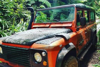 Jeep Tour To Santana: Old Forest Full-Day East-Side