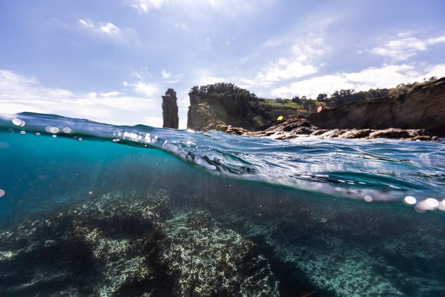 Kayak Guided Tour: Vila Franca do Campo Islet - How much value do you get for $76?