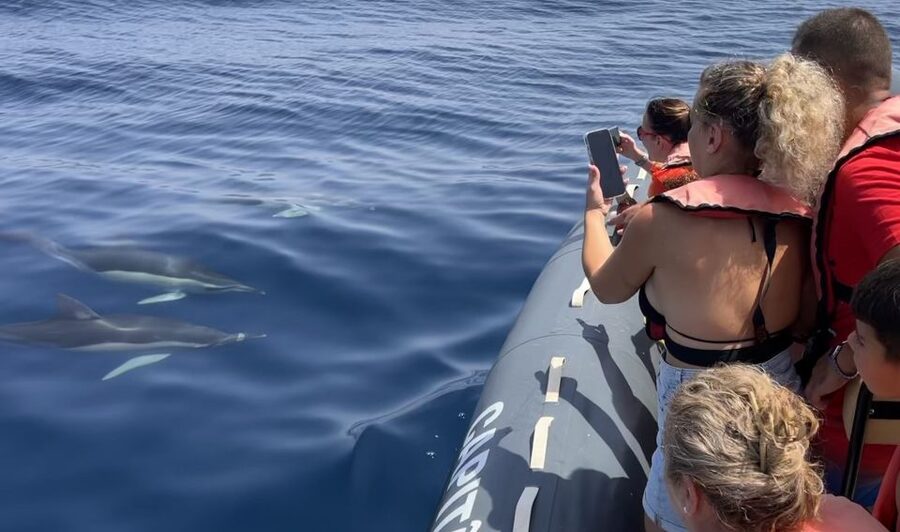 Lagoa: Dolphin Watching & Benagil Tour with Biologist Guide - The five-minute briefing before open water