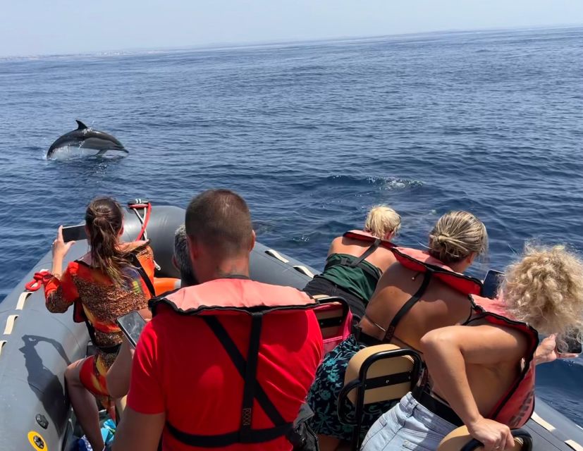 Lagoa: Dolphins Expedition with biologist guide on board - Why this Lagoa dolphin trip feels different