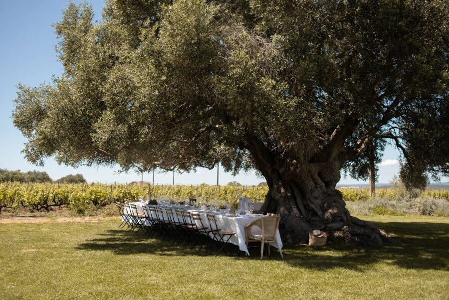 Lagoa: Morgado do Quintão Estate Lunch and Wine Tasting - Why Morgado do Quintão makes a good Algarve food stop