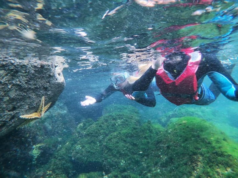 Lagos: Algarve Coasteering and Snorkeling Adventure - Who should book this adventure?
