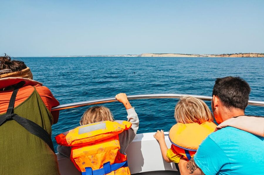 Lagos: Dolphin Watch Tour with Professional Marine Biologist - Why the marine biologist changes the experience