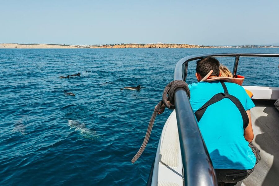 Lagos: Dolphin Watch Tour with Professional Marine Biologist - Should you book it?