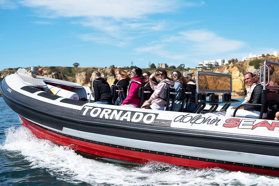 Lagos: Dolphin Watching with Professional Marine Biologists - Who will enjoy this most