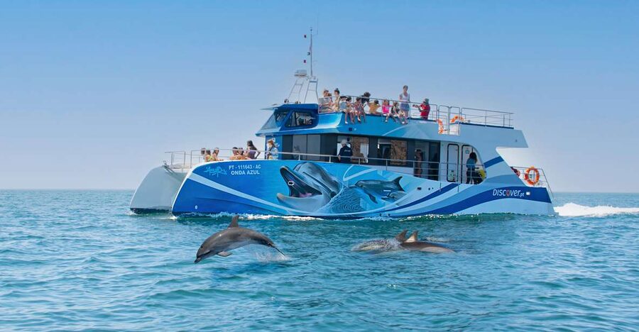 Lagos: Dolphins & Caves - Catamaran - Dolphins beyond the Lagos shoreline