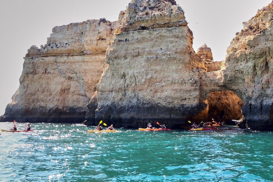 Lagos: Guided Kayak Tour - Is $40 good value for Lagos?