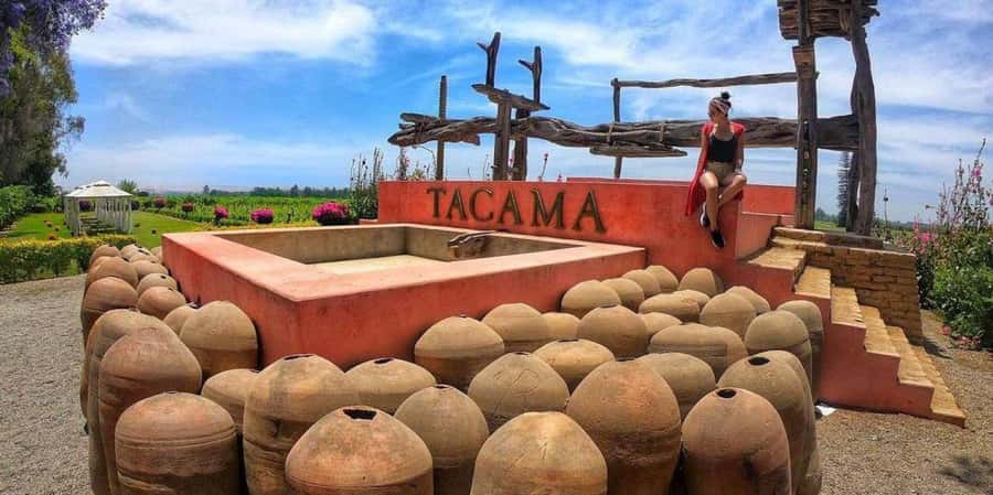 Lagos/Praia da Luz: Wine Tour, Tastings, Tapas, and Music - Shopping for wine and regional products