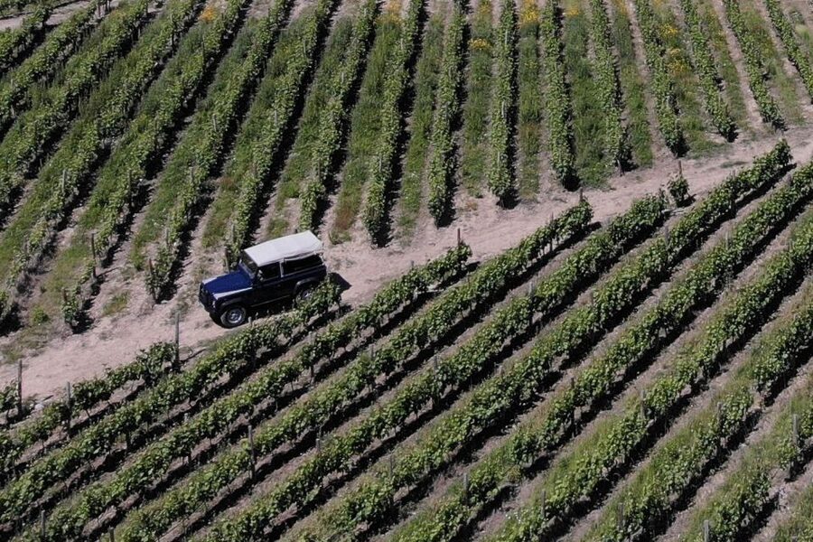 Lamego: Quinta da Portela de Baixo Winery Tour and Tasting - Inside the Wine Cellar Museum