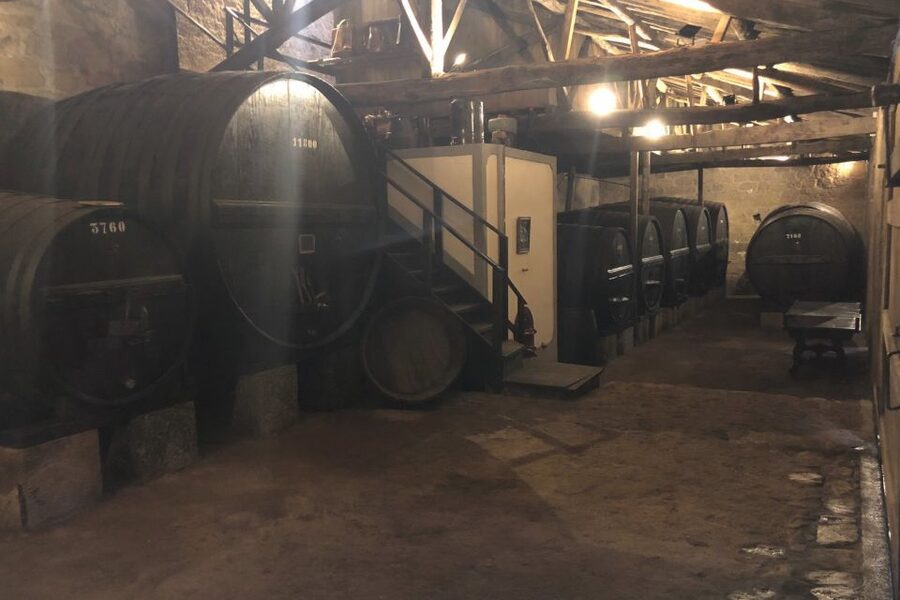 Lamego: Quinta da Portela de Baixo Winery Tour and Tasting - Local Snacks That Make the Tasting Better