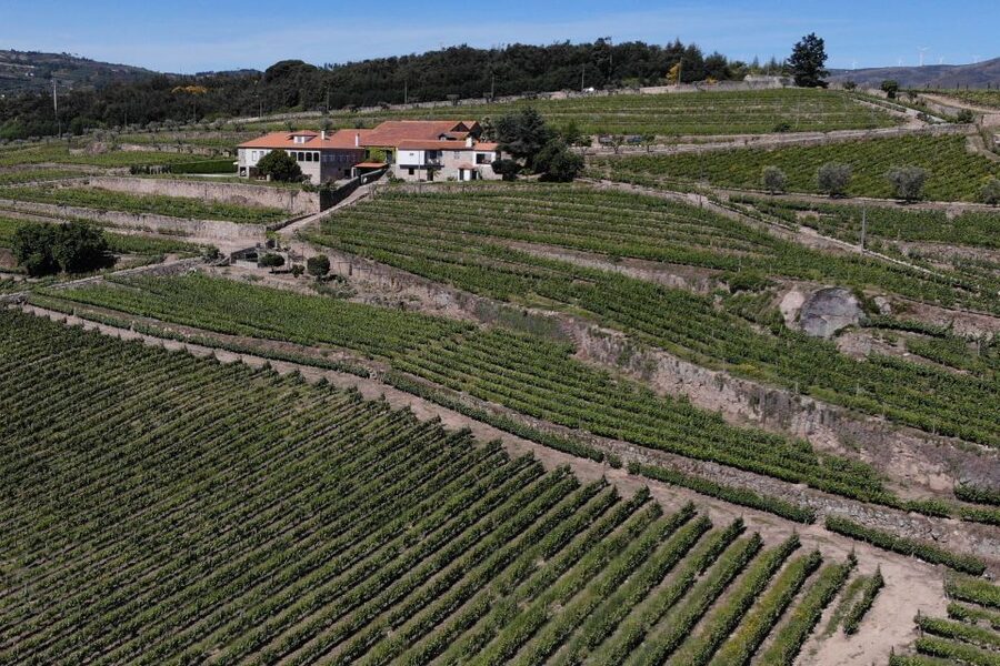 Lamego: Quinta da Portela de Baixo Winery Tour and Tasting - Walking the Two Farms