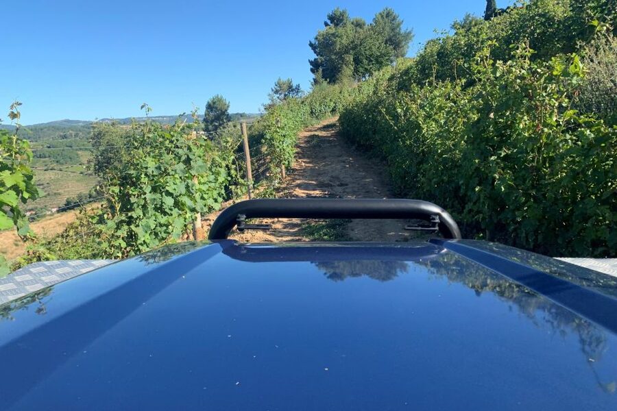 Lamego: Quinta da Portela de Baixo Winery Tour and Tasting - Practical Booking Advice