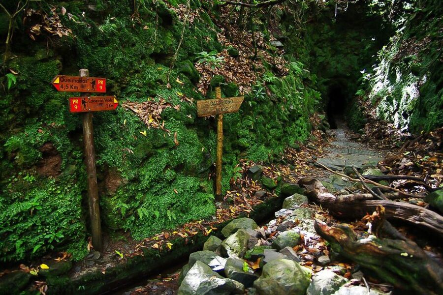 Levada Walk and Caldeirao Verde Waterfalls: Madeira - Returning along the same route