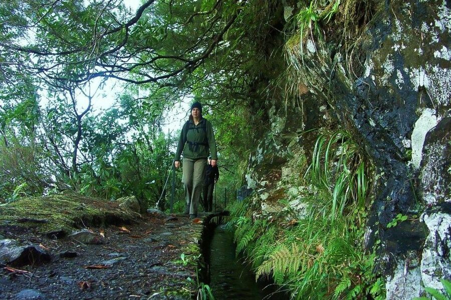 Levada Walk and Caldeirao Verde Waterfalls: Madeira - Following the levada through Madeira’s forest