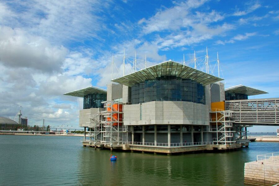 Lisbon: 3-in-1 Hop-On Hop-Off Bus and Tram Tours - Getting around after the sightseeing buses