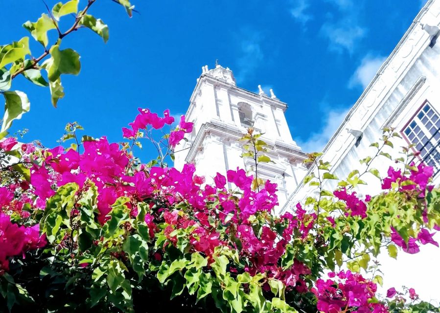 Lisbon: 7 Hills Panoramic Guided Tour by E-Bike - Who should book the seven-hills ride
