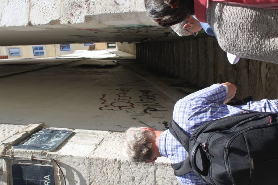 Lisbon: Alfama and São Jorge Castle Quarters Walking Tour - Who should book this Alfama walk?