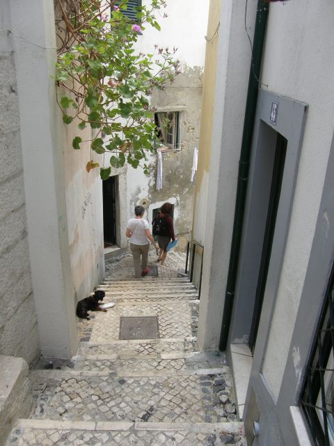 Lisbon: Alfama and São Jorge Castle Quarters Walking Tour - Climbing into the castle quarter