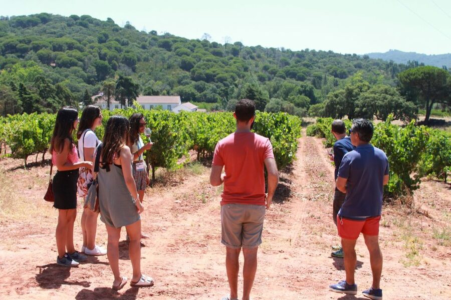 Lisbon: Arrábida and Sesimbra Day Trip with Wine - Why This South-of-Lisbon Day Trip Works