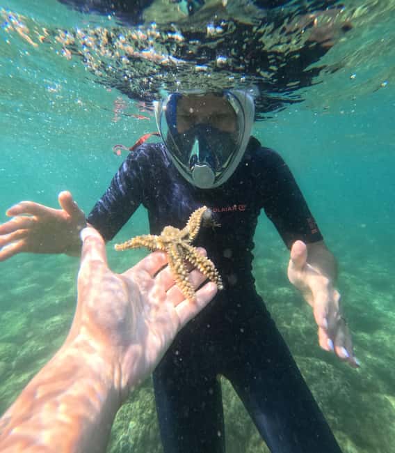 Lisbon: Arrábida Kayak & Wild Beach Snorkeling with Pickup - Is $63 a Fair Price?