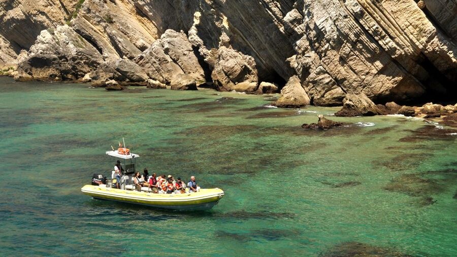 Lisbon: Arrábida Natural Park Dolphin Watching Boat Tour - Should you book the Arrábida dolphin tour?