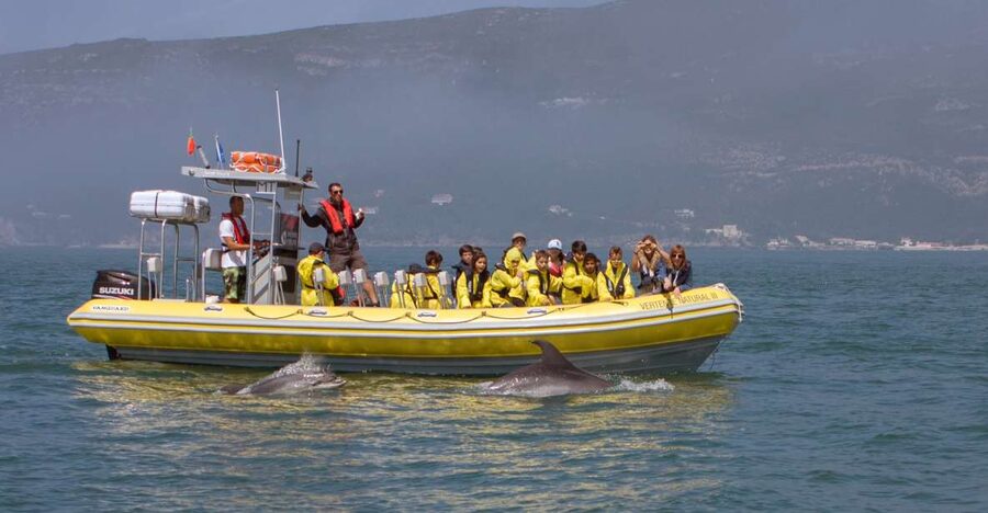 Lisbon: Arrábida Natural Park Dolphin Watching Boat Tour - From Lisbon to Sesimbra before the boat leaves