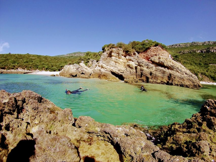 Lisbon: Arrábida Snorkeling Adventure - What the $94 price really covers