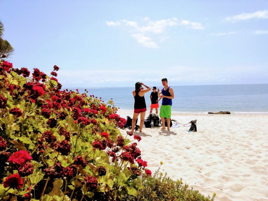 Lisbon: Arrábida Snorkeling Adventure - Weather, changes, and practical preparation