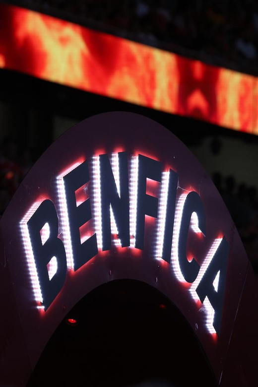 Lisbon: Benfica Luz Stadium Tour with Souvenir Scarf - Walking through the tunnel and onto the pitch