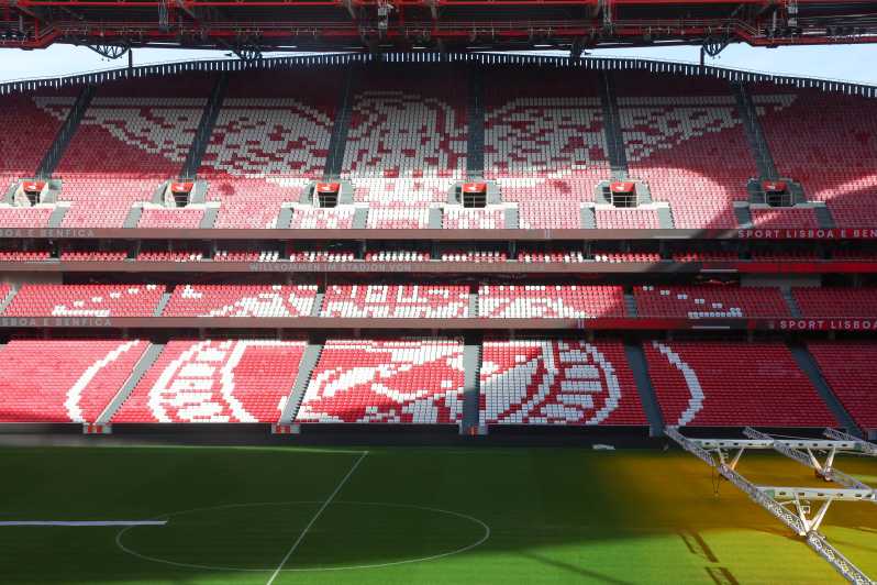 Lisbon: Benfica Luz Stadium Tour with Souvenir Scarf - Seeing Benfica’s story before the football rooms