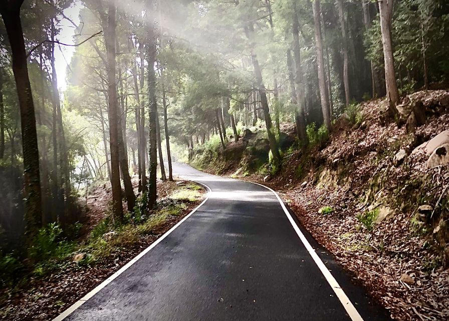 Lisbon: E-bike Trip from the Sintra Mountains to Cascais Sea - Guincho Beach, sea views, and lunch