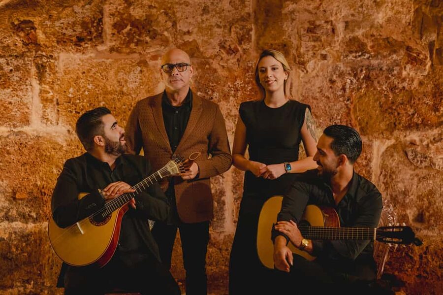 Lisbon: Fado Show with Wine in a Historic Venue - The drink included with your ticket