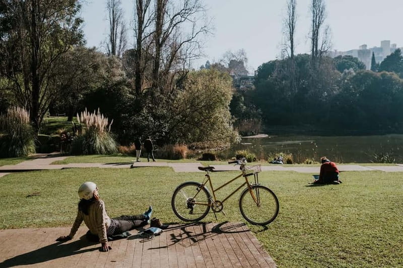 Lisbon: Gulbenkian Collection+Centro de Arte Moderna Ticket - Audio guide, access, and practical comfort