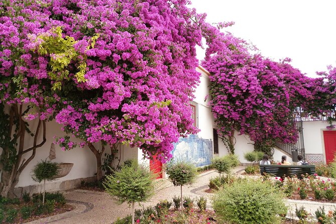 Lisbon Highlights - Private Tour with Van and Local Guide - A short walk through Chiado