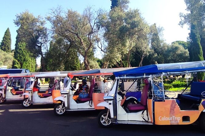 Lisbon Highlights: Private Tuk Tuk Tour Adventure Sightseeing - Estrela adds a quieter final note