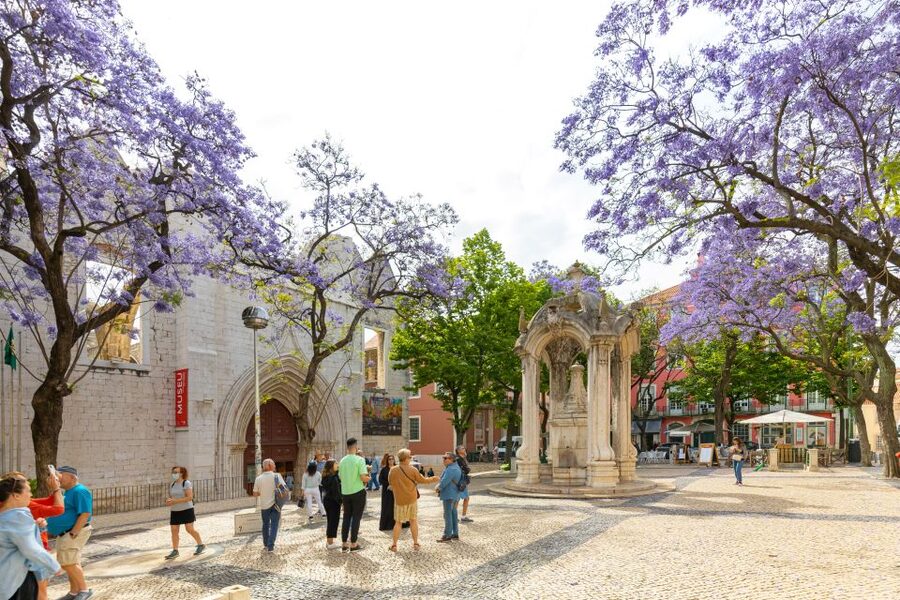 Lisbon: History, Stories and Lifestyle Walking Tour - San Roque, a plain church with a lavish interior