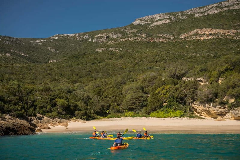 Lisbon: Kayak Tour Arrábida Natural Park, Setubal, Sesimbra - Who should book this kayaking experience?