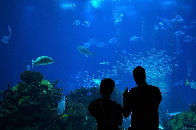 Lisbon Oceanario: Aquarium Entrance Ticket - What you see on the two-level route