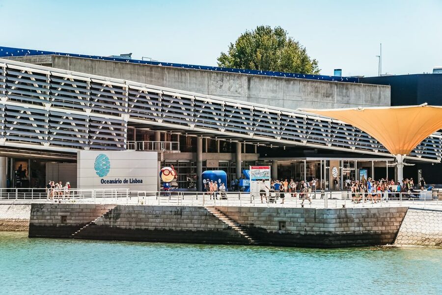 Lisbon: Oceanário de Lisboa Entrance Ticket - Accessibility and practical comfort