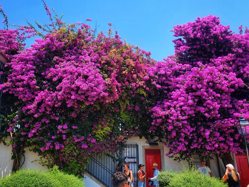 Lisbon: Old Town TukTuk Tour and Scenic Viewpoints in Alfama - The guides make the difference