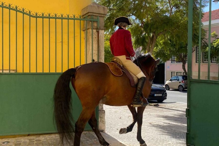 Lisbon: Portuguese Riding School Trainig with Lusitano Horse - From daily exercise to Equestrian Art