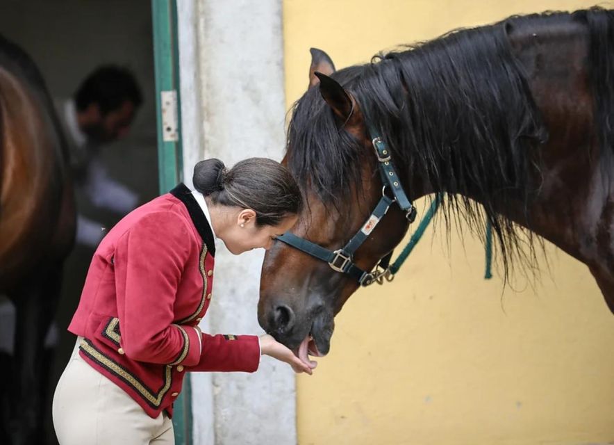 Lisbon: Portuguese Riding School Trainig with Lusitano Horse - What the Lusitano horses add to the visit